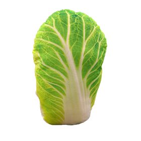 3D Simulation Chinese Cabbage Soft Plush Pillow Cushion 50cm Vegetable Stuffed Toy