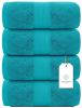 Luxury Bath Towels Set of 4 Large 700 GSM Cotton Ultra Soft Bath Towels 27x54 n Highly Absorbent and Quick Dr Aqua Green