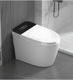 Integrated Bidet Toilet (Option: White ceramic2)